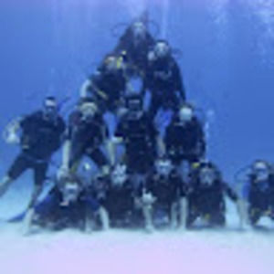 Meet your Posher, Sean